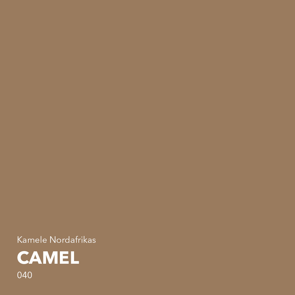 camel-farbton