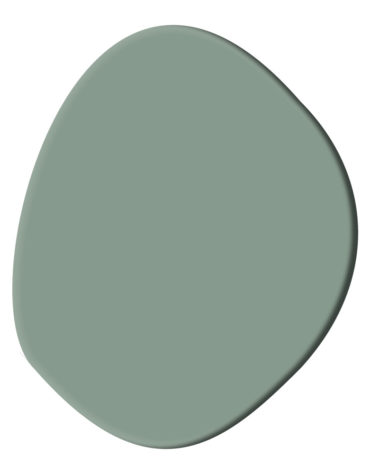 duck-egg