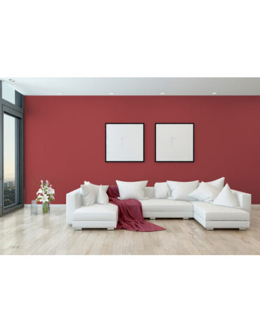 produkte-wandfarben-wandfarbe-wine-2-5-l_8