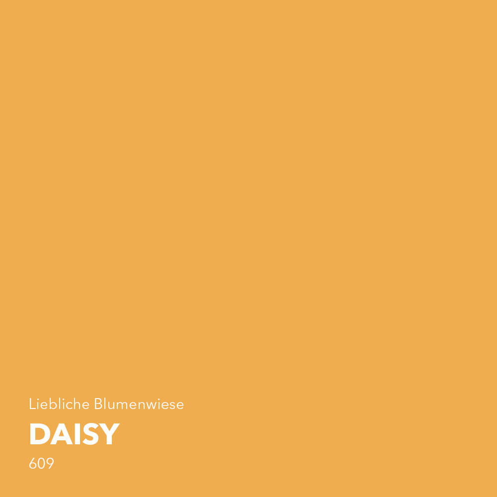 daisy-farbton