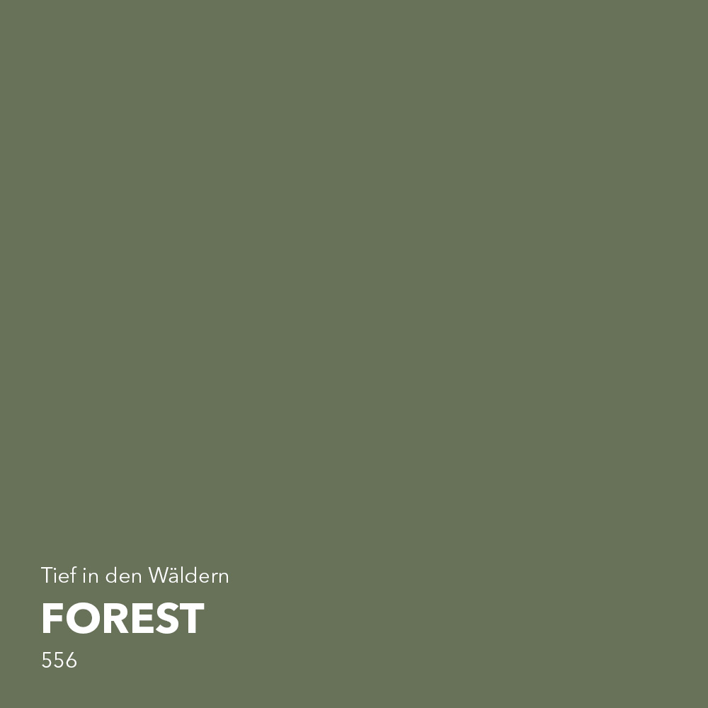 forest-farbton